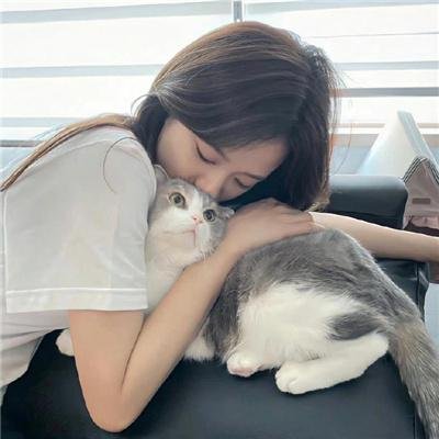泰瑞·福克斯故事